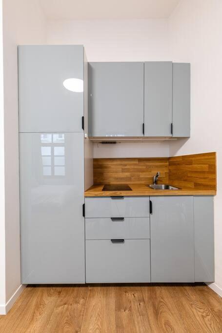 Tres Chic Studio/Petite France Strasburgo Esterno foto